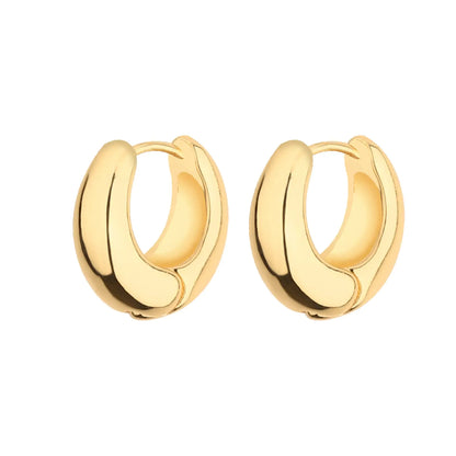 Wgoud Chunky Hoop Earrings Set